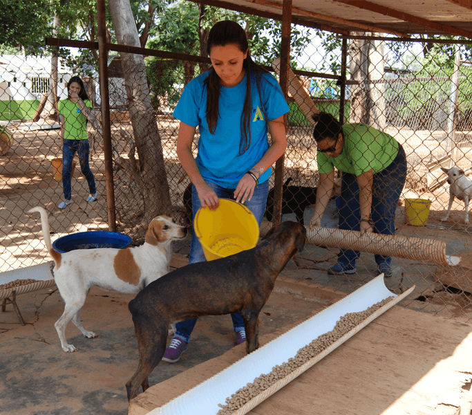 Voluntarios alimentan perros en refugio ASODEPA venezuela